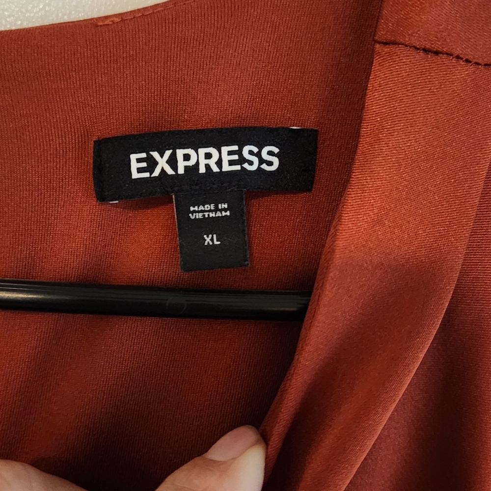 Express Dress - Picture 2 of 4
